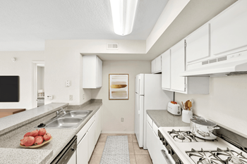 Modern kitchens with dishwashers and garbage disposals